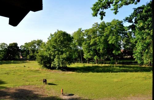 Popowo Stare Bed & Breakfast | Palace Popowo Stare