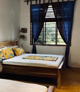 Mafia Island Bed & Breakfast | Palm House&Restaurant