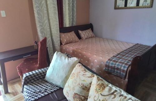 Jerningham Junction Apartment | Palmarie