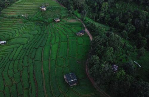 Samoeng Other | Pang Ma - O rice terrace นาขั้นบันไดบ้านปางมะโอ