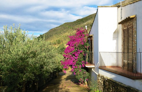 Castellammare del Golfo Villa | Panoramic VILLA 5 km from the sea, inside an estate of olive groves