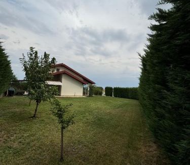 Sanandrei Villa | Panorama Luxury