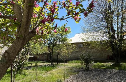 Sheki House | Panoramic House