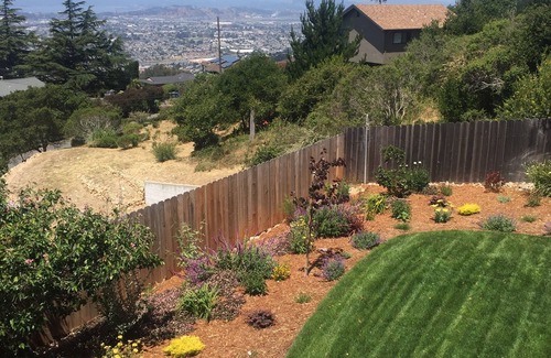 El Cerrito House | Panoramic Views of San Francisco in Berkeley Hills