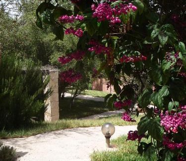 Drargua Bed & Breakfast | Paradis Nomade
