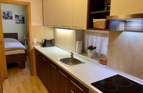Nove Mesto nad Vahom House | Park - apartmány na prenájom