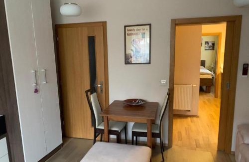 Nove Mesto nad Vahom House | Park - apartmány na prenájom