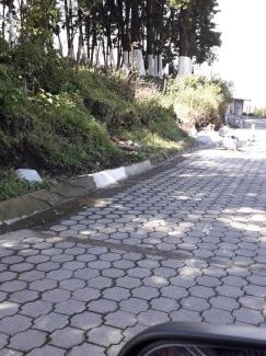 San Vicente Pacaya Other | Parque Ecológico los Cipreses Volcán Pacaya