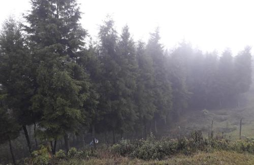 San Vicente Pacaya Other | Parque Ecológico los Cipreses Volcán Pacaya