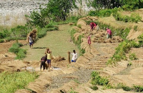 Dhading House | Pastoral Farmstay