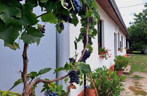 Szilvasvarad Apartment | Patakparty Lak