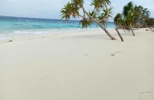 Mimaropa Other | Patawan Island Resort