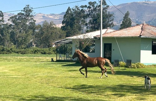 Cajamarca House | 60 m² House ∙ 1 bedroom ∙ 4 guests