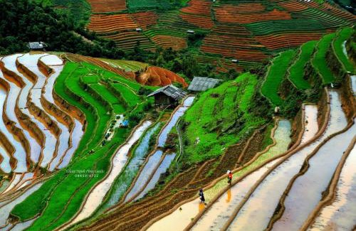 Mu Cang Chai House | Peace Homestay Mù Cang Chải