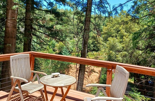 Palomar Mountain Cabin | Peaceful 1920s Cozy Cabin snuggled in 100 ft Pines -Palomar Mt, Bailey Meadows
