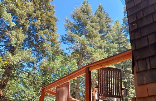 Palomar Mountain Cabin | Peaceful 1920s Cozy Cabin snuggled in 100 ft Pines -Palomar Mt, Bailey Meadows