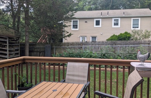 Ironia House | Peaceful 3 BR ranch in rural Chester Take a break and unwind at our oasis.