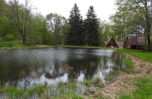 Genesee Cabin | Peaceful Days~Cozy Cabin~Sounds of Silence~Star Gazing~Relax