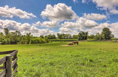 Lebanon House | Peaceful Lebanon FarmhouseandRanch with Pool!