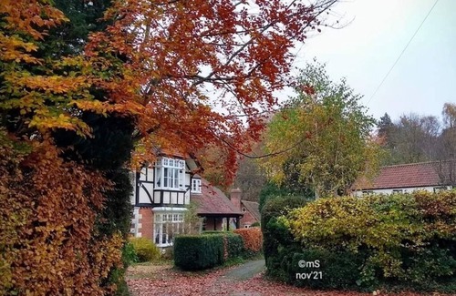 Westbury Apartment | Peaceful separate annexe with bed, kitchen, shower room and patio area.