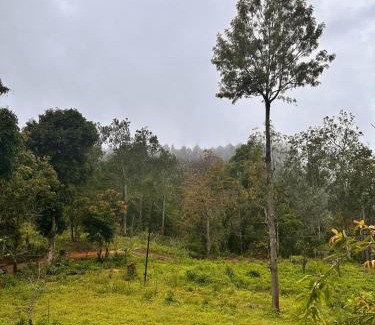 Hildummulla Villa | Pears Villa Resort Haputale