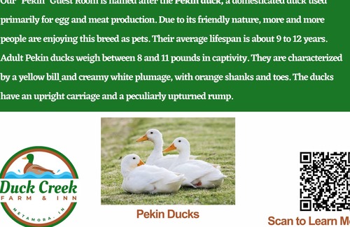 Metamora Apartment | Pekin Family Suite - Duck Creek Farm and Inn, Metamora, IN