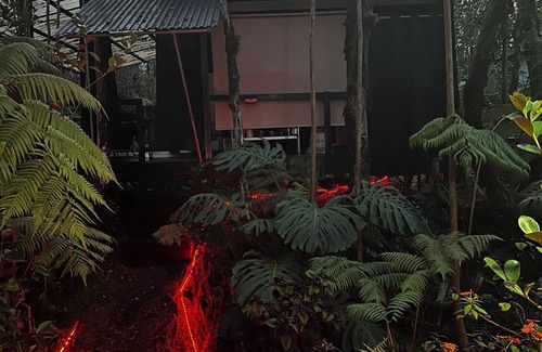 Eden Roc House | Pele's Breath Jungalow Near Kilauea Volcano