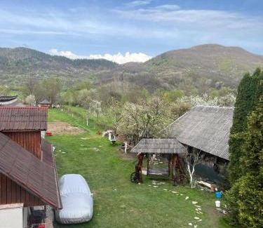 Oncesti Bed & Breakfast | Pension Bud