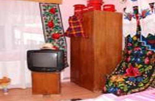 Vadu Izei House | Pension Ioana Lavita