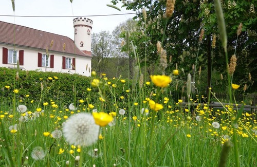 Zeulenroda-Triebes Hotel | Pension Kastanienhof