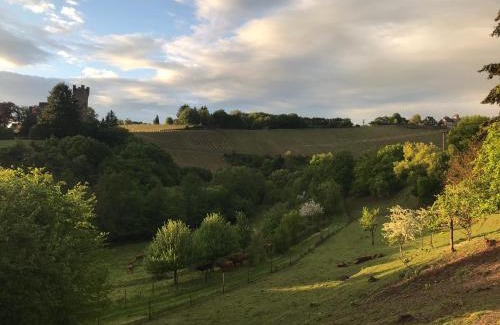 Serrig House | Pension Schmitz