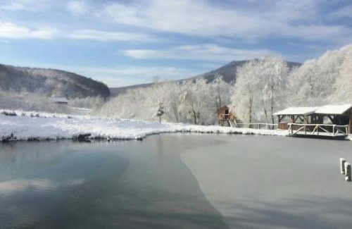 Dobarlau House | Pensiunea Cerbul - Valea Dobârlăului