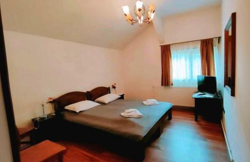 Dobarlau House | Pensiunea Cerbul - Valea Dobârlăului