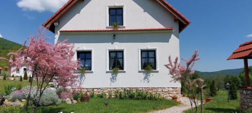 Rimetea House | Pensiunea Királylány Vendégház