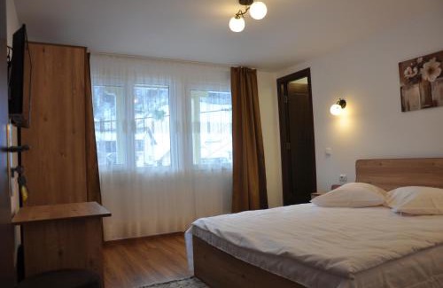 Dambovicioara House | Pensiunea La Ionica