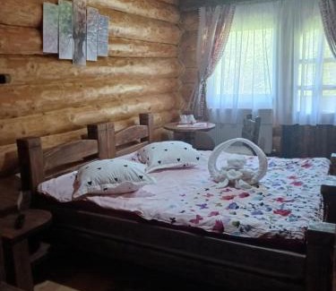 Saru Dornei House | Pensiunea Laricea