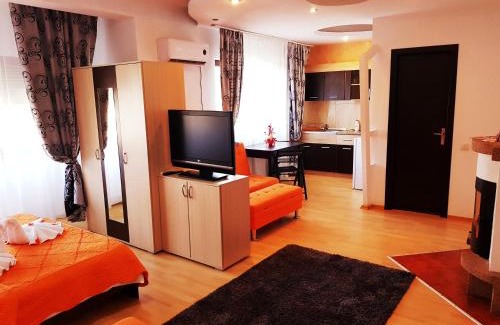 Timisoara House | Pensiunea Red Rose Apartments