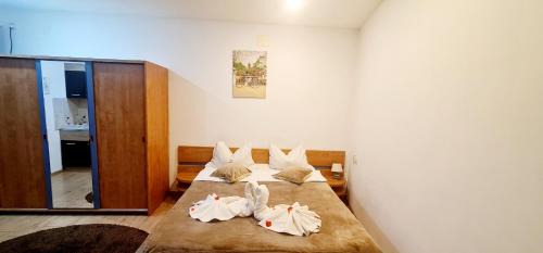 Timisoara House | Pensiunea Red Rose Apartments