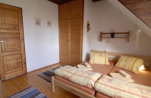 Hracholusky Apartment | Penzion Dvůr