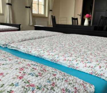 Boretice House | Penzion Jako Ze Škatulky