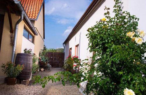 Dolni Vestonice House | Penzion Marhulka