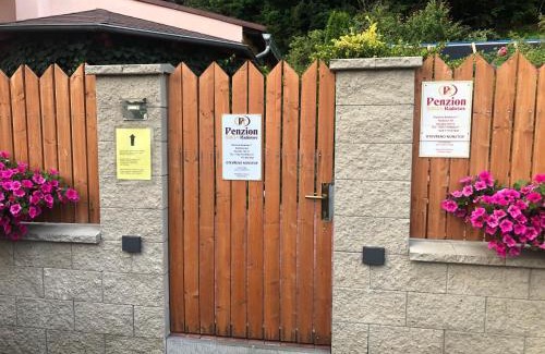 Kysibl Kyselka House | Penzion Radošov ubytování v soukromí