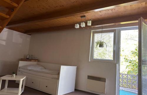 Sezimovo Usti House | Penzion & Restaurace U Vily