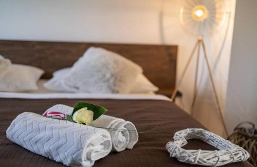 Pluhuv Zdar House | Penzion Tera u zámku Červená Lhota
