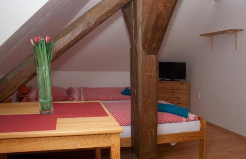 Karlova Studanka House | Penzion u Vodopádu
