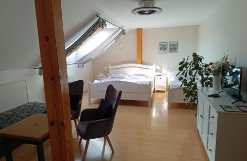 Litomysl House | Penzion V Podzámčí Litomyšl