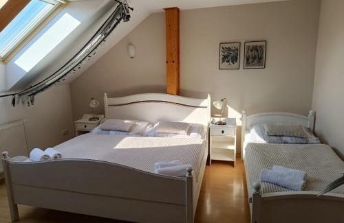 Litomysl House | Penzion V Podzámčí Litomyšl