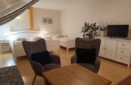 Litomysl House | Penzion V Podzámčí Litomyšl