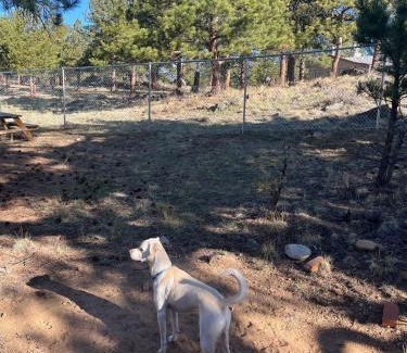 Estes Park House | Perfect Estes Park Getaway, Walk to Town 3 Kings!