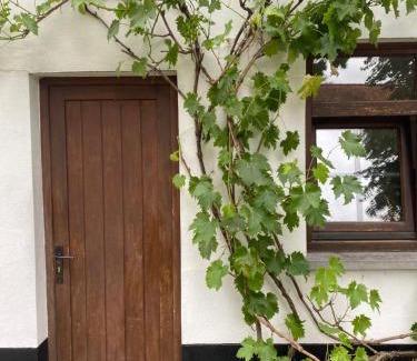 Leeuwergem House | Perlefien